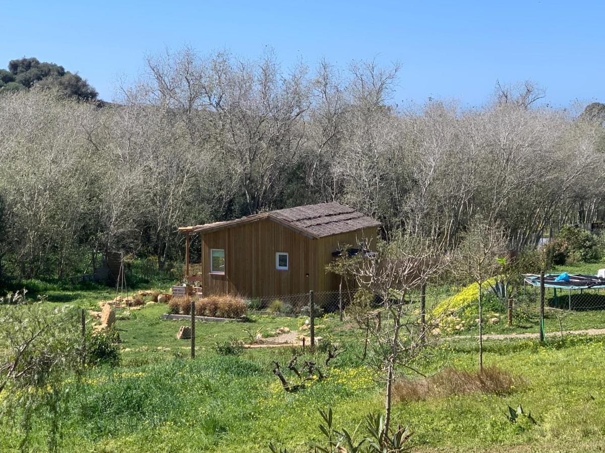 Cabana Casaotto Лос Канос де Мека Екстериор снимка